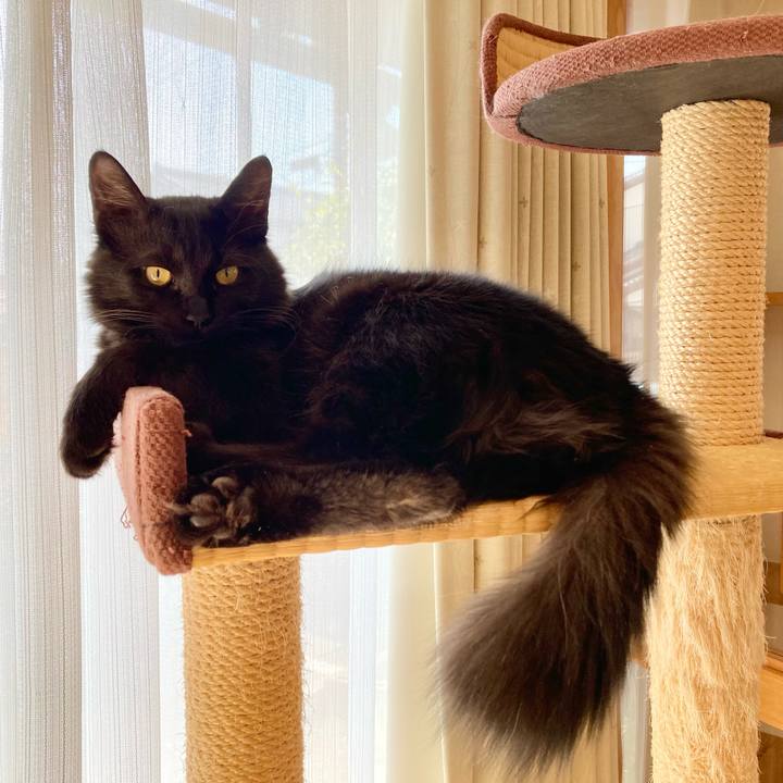 967dd61f 5be8 4af4 9466 2fc720d03c98 1710639617946