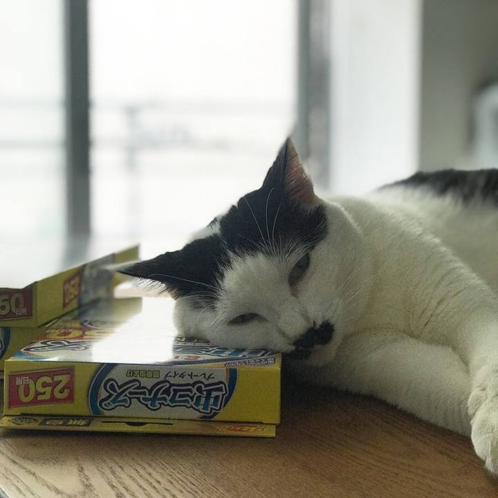 967de173 7974 43f8 9043 91dacba6f7f9 1532177753919