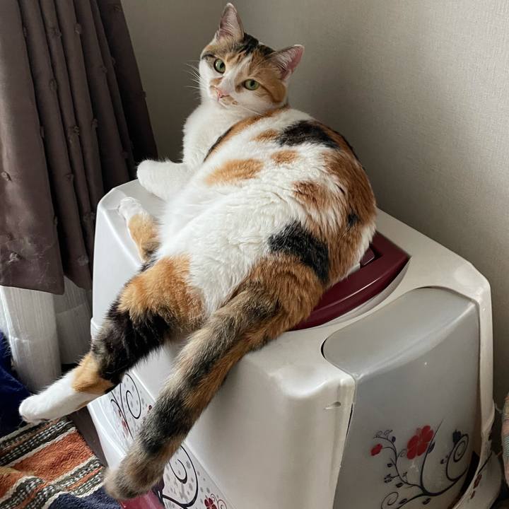 967e1c20 b266 4edb 92e0 bdc5f16b118f 1621294592480