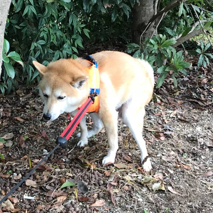 967e3a6f 9b35 4dd5 ad77 26fa8b37ddf3 1517114459350