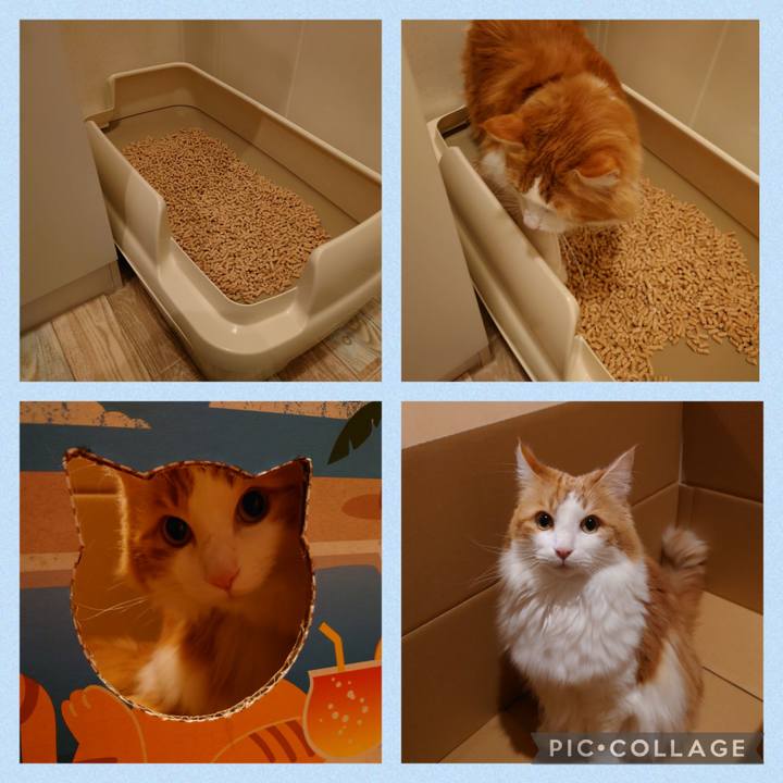 967e4e22 9dd0 442f af74 01583d783524 1643084332089