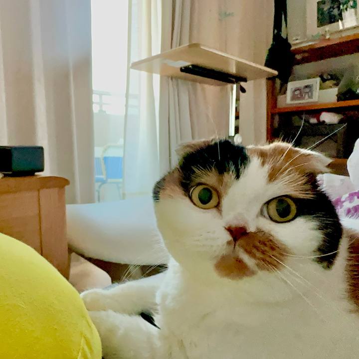 967eaa7f 2922 4897 b753 fe449ad5a6ce 1702939021059