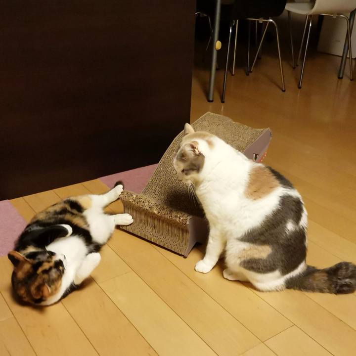 967ebb9c ca05 4b41 934d 6ddc62769a79 1676781713309