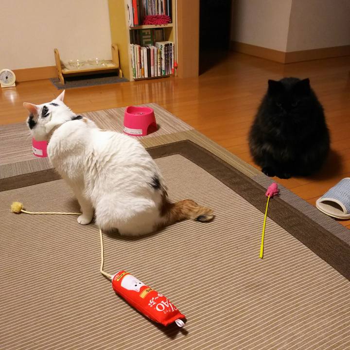 967f2127 9b24 43e1 b5ea 5c91efcf013a 1566563660814