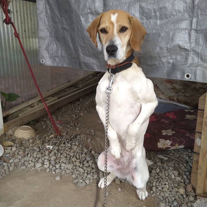 967f5223 6223 43e9 85b8 e2ab76b8050d 1649734091006