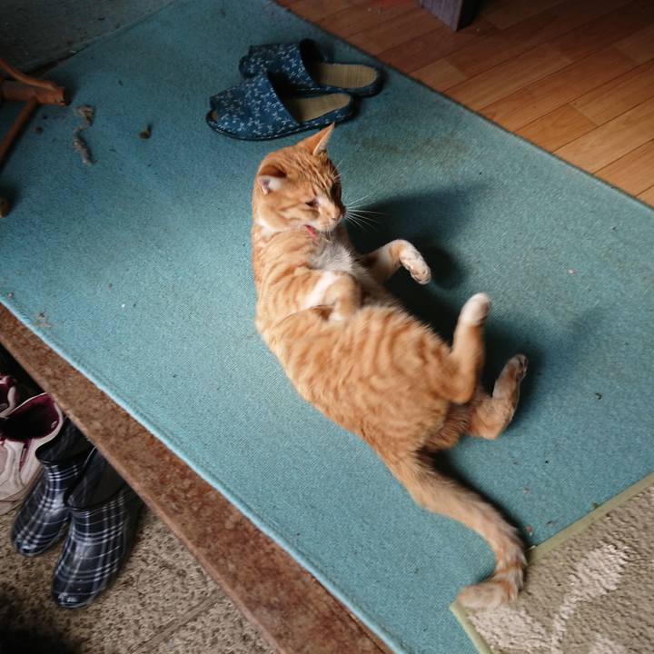 967f55b5 8860 402f 9f0a d41840a9b1bf 1572847940814