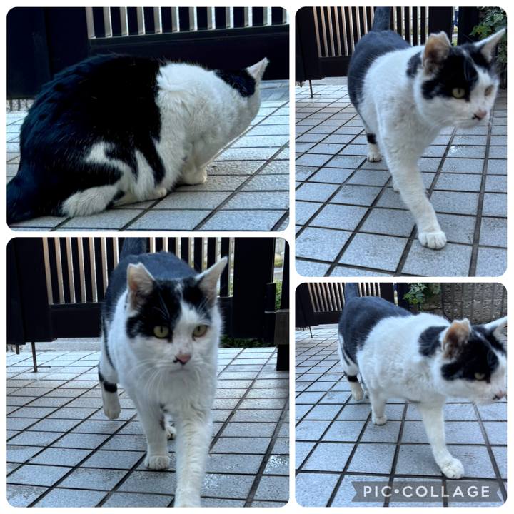 967f590a fd44 42f8 8fc9 c9fa7ec94946 1766024447035