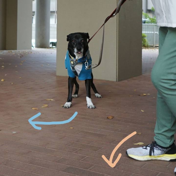 967f8290 4f2c 489e bd63 c3db47fdf9e7 1763432559987