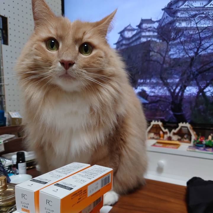 968003ad 39fe 4246 9aae 74d0032f64db 1608972583621