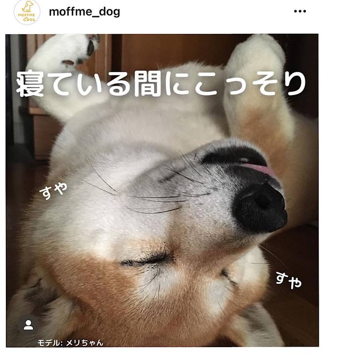 96805e62 d93d 4753 90be 5cfb13c2c3d7 1663065576012