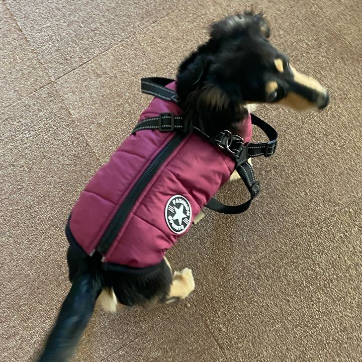 96807fb5 9611 47ca 8d7a 1c0b023a9c0f 1677384143200