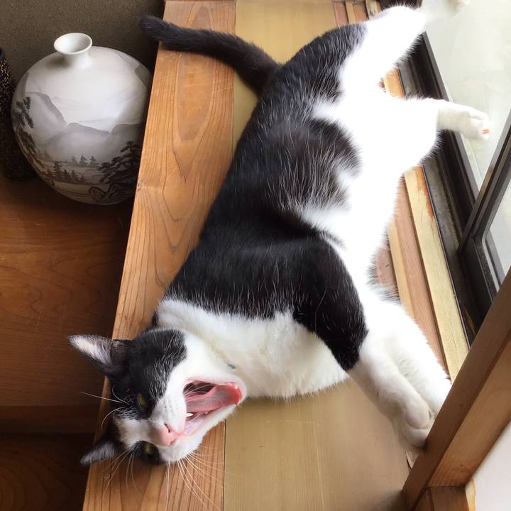 9680dc93 b42e 4529 b752 e25f5b3e0311 1720087009767