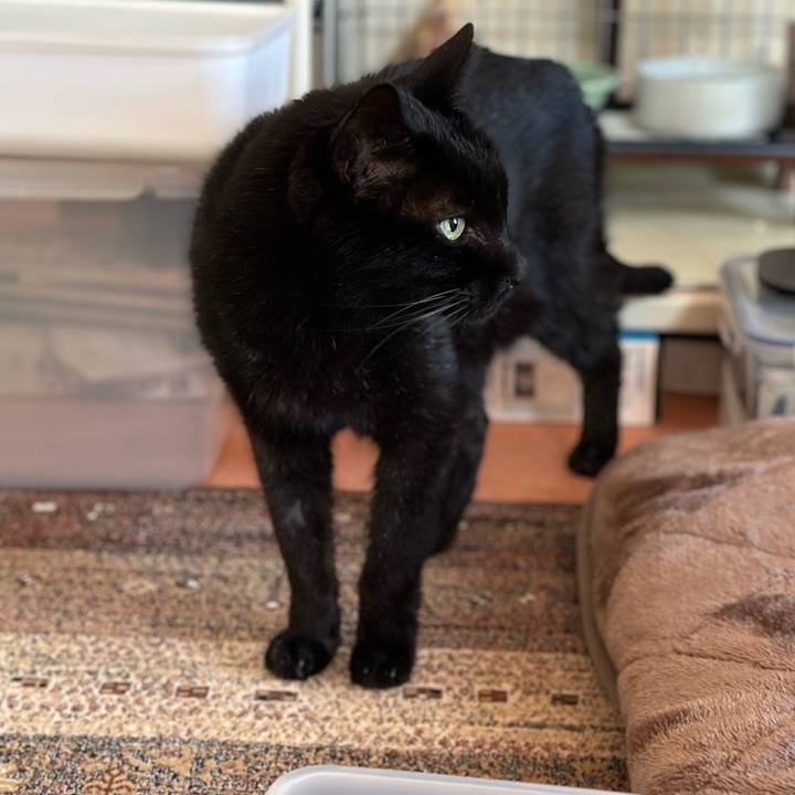 9680eded 073a 4302 b253 738139ad902a 1703385071720