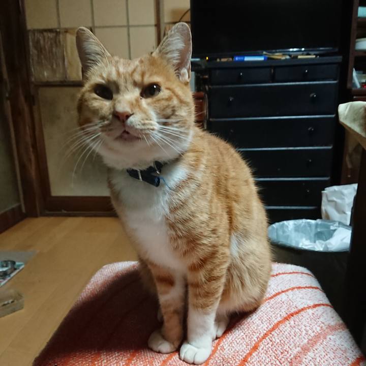 968109a5 202c 4451 a25e c9eaaee68d1e 1603654189399