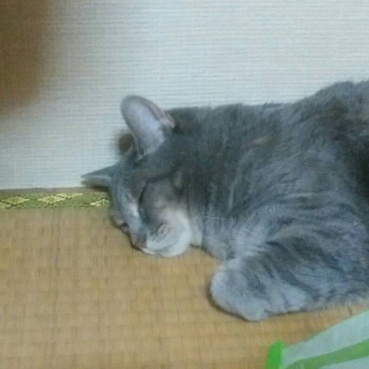 96811128 0da0 4cec 8f80 89f9139b4d0e 1535374978719