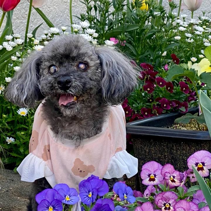 9681181b 5a03 434a aebd 1a2eaa51ff7e 1773969078130