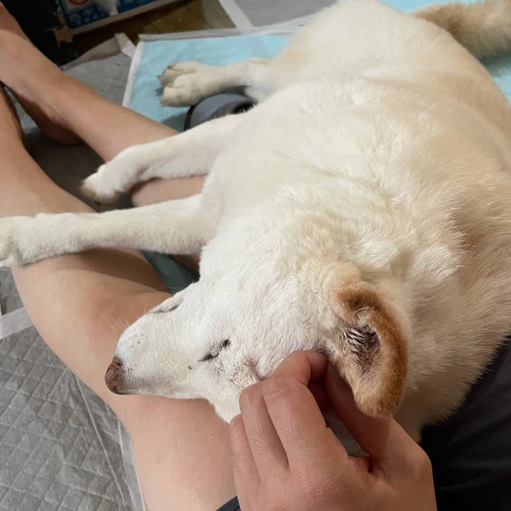 96814fde 1ab7 4f8c 8aa0 60bb43f95118 1634262922676