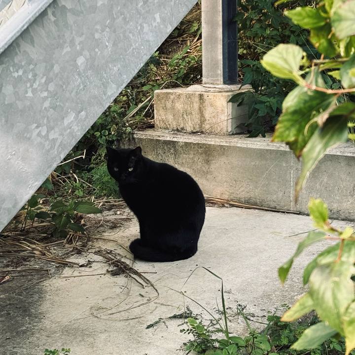 96818d41 9a0e 45a0 80d5 2f09a36ba4a8 1768632317524