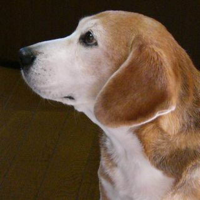 9681a735 8a92 4c69 b0a1 372d6483292c 1647996094288