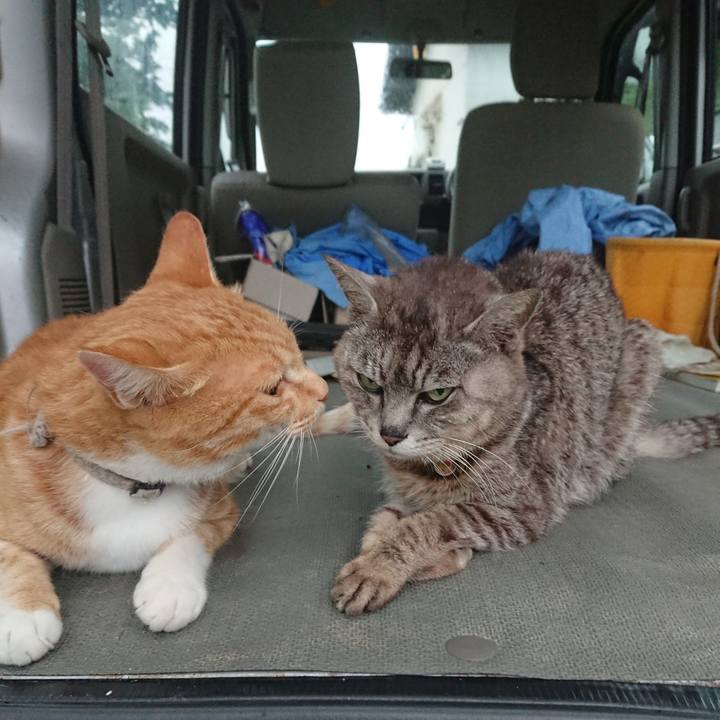 9681b8d0 b3b5 48b5 9b71 5e41b9059fc0 1596876596284