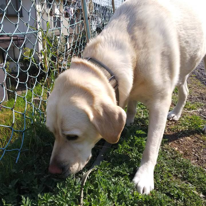 96824c02 2787 4d02 a57e 54fa3ef576af 1553722120270