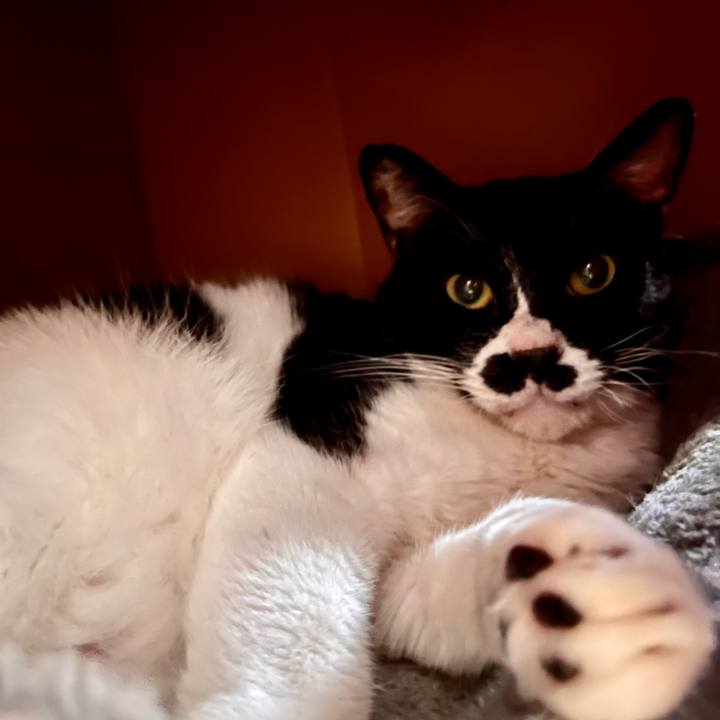 96829eba 5d2b 46cb 8360 64ab7815c60c 1681816899753