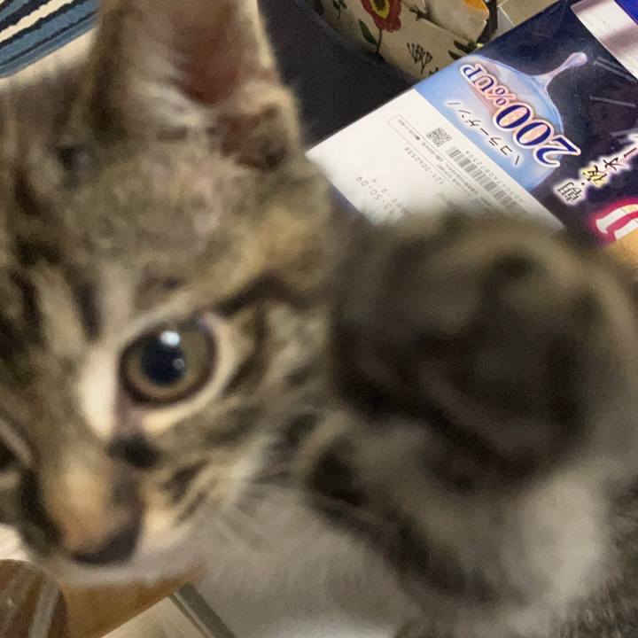 9682b54b e46d 402b 86eb 7bb6414052f5 1666614390221