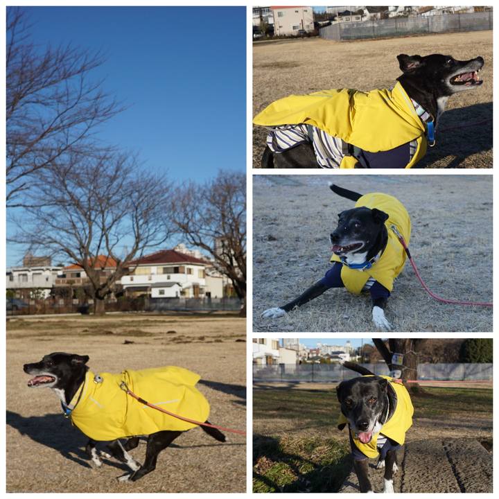 9682b6d3 1997 47a0 958e f9997b2ba032 1767487981374