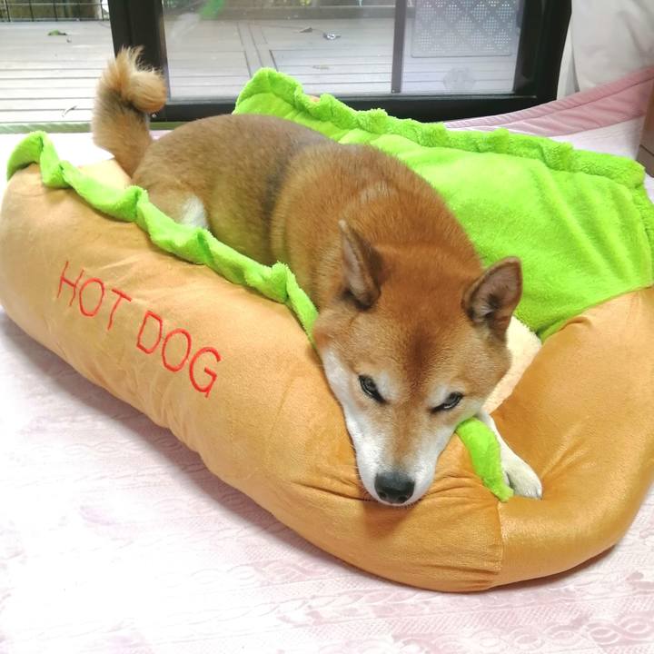 9682bec5 8af8 48d2 8146 8c3f3a4afbc8 1666683115534