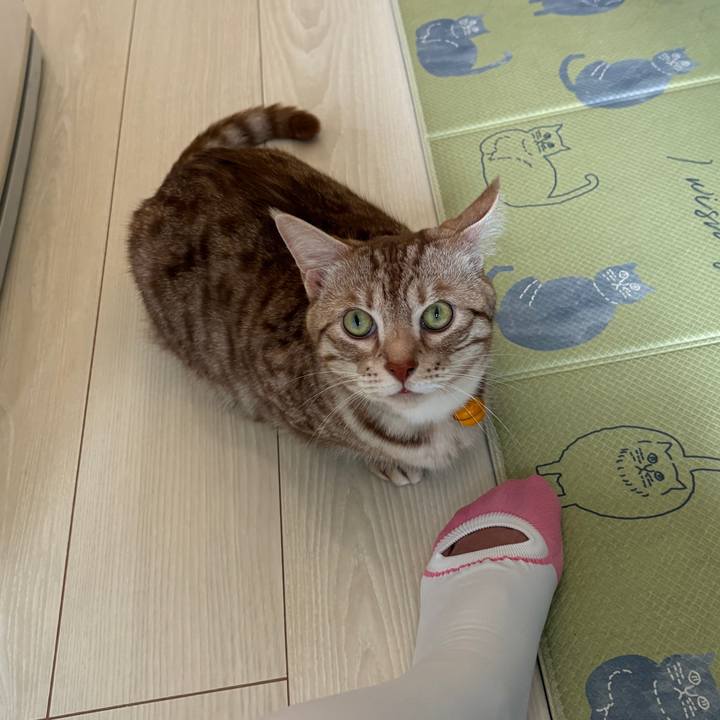 9682d0ee f9fe 454a 868e fe1154581e83 1754452456088