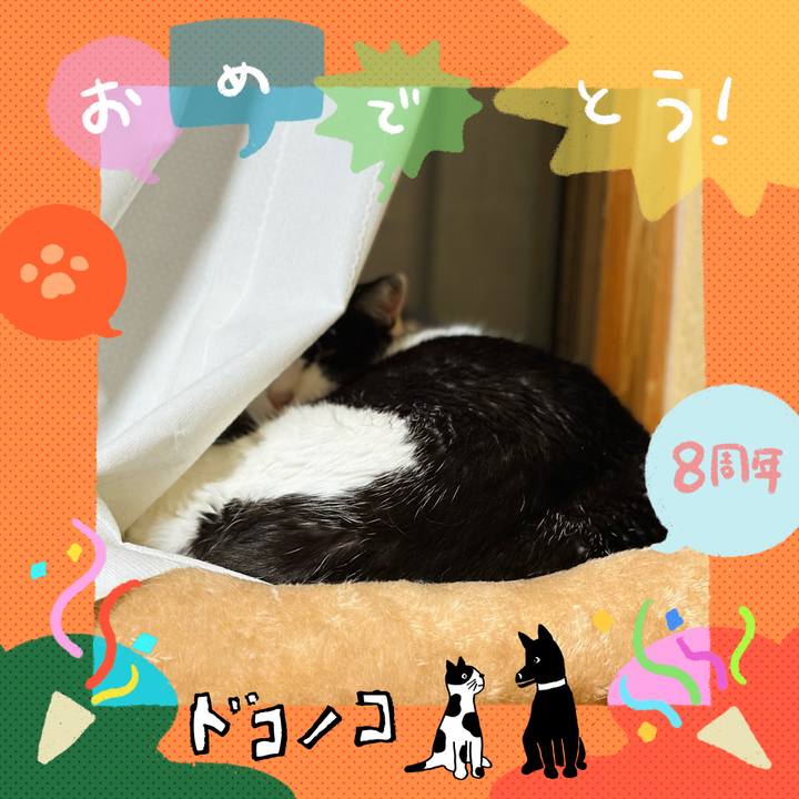 9682d1ff dcee 47b3 8e32 41e8e3f3d3b0 1717726493087