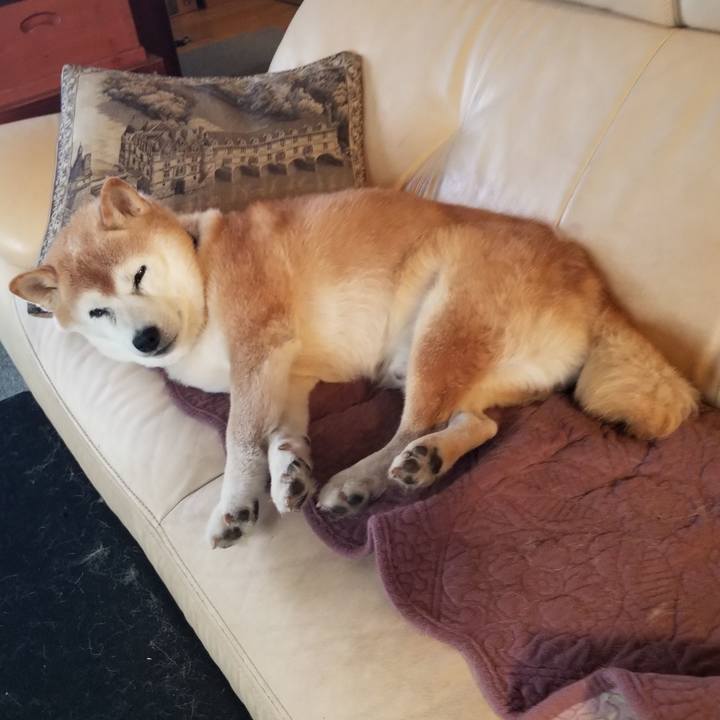 9683037e 56c6 47cc b83b be81856ca662 1734391274917