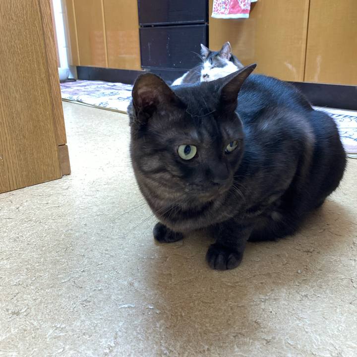 96838263 fc65 4cc7 bd25 971ad79eebe4 1713743167335