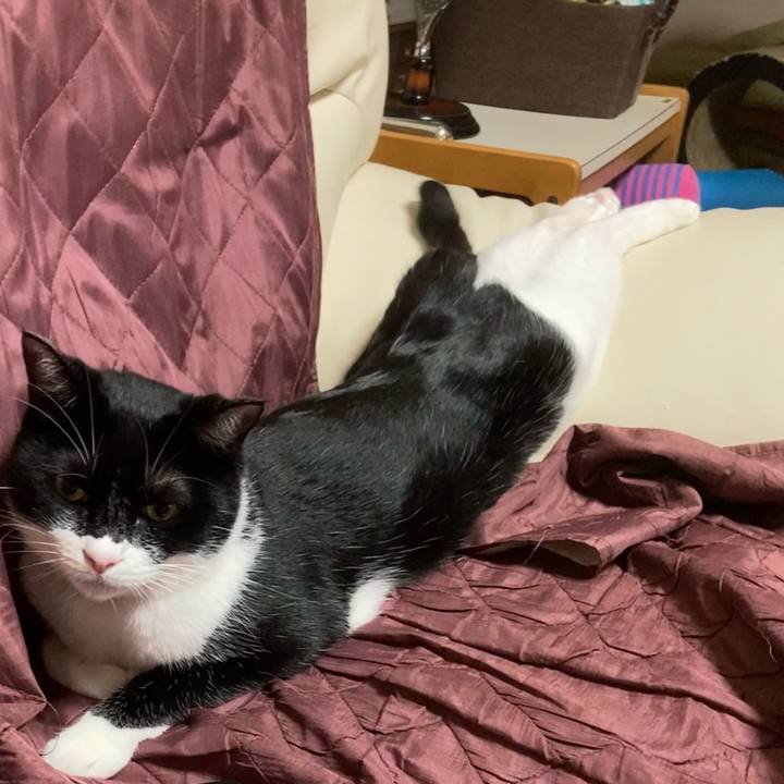 9683f054 23b1 426c 8262 14801413b92a 1627225228813