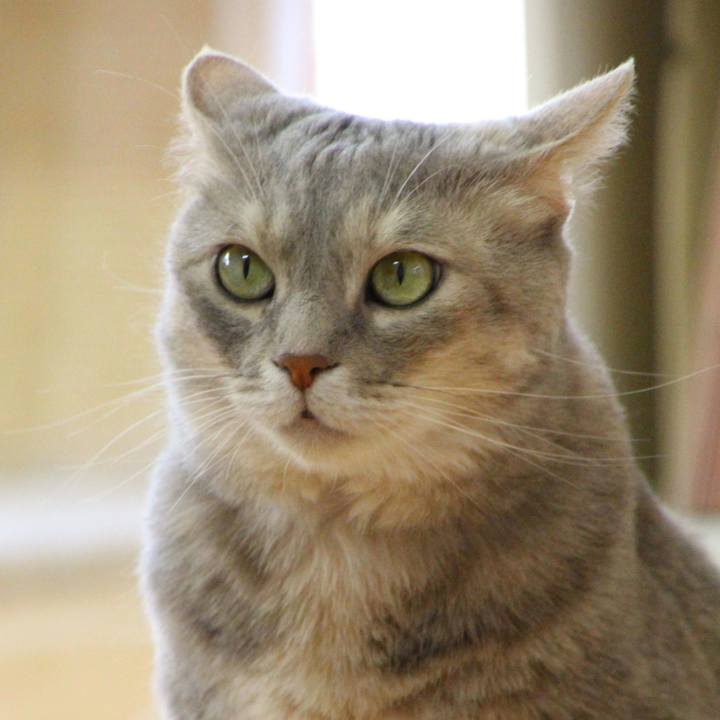 96841aa9 0bd6 440d 83a6 c54667e3cba4 1688703626836