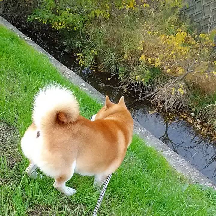 96841c2c 0cfe 4357 94ec 36f8c3ffda4c 1605849676394