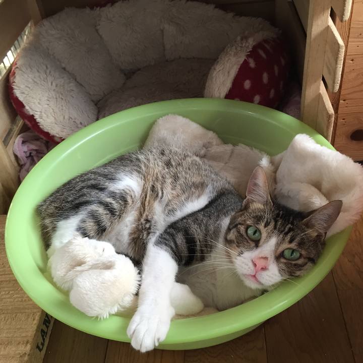 96843ba8 6b29 46a5 b889 dee5ab387e31 1530150317838