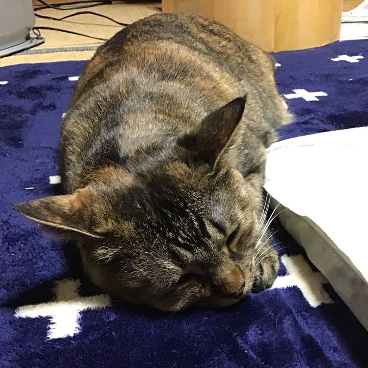 96844bc5 c441 405a 99c2 3f2208b1aea8 1734950568288