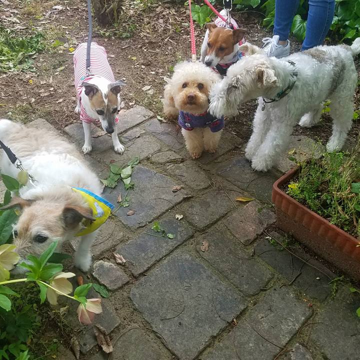 9684733a 489f 4462 aabc efd3e82e1df6 1525527974183