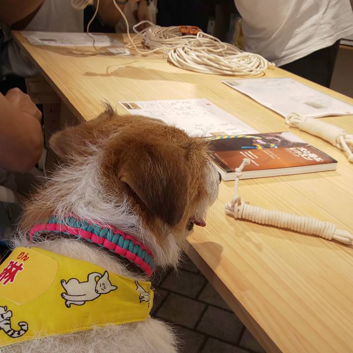 9684807a 53ee 4ed1 932b b665662973f8 1569640619849