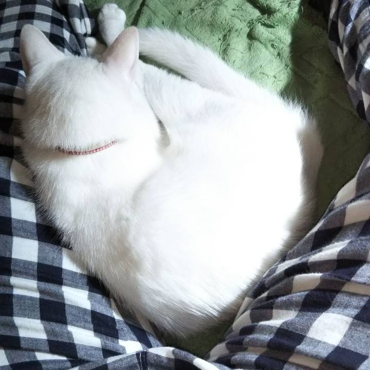 9684ebb1 6c78 4801 9e23 f3d204c7941f 1628943848462