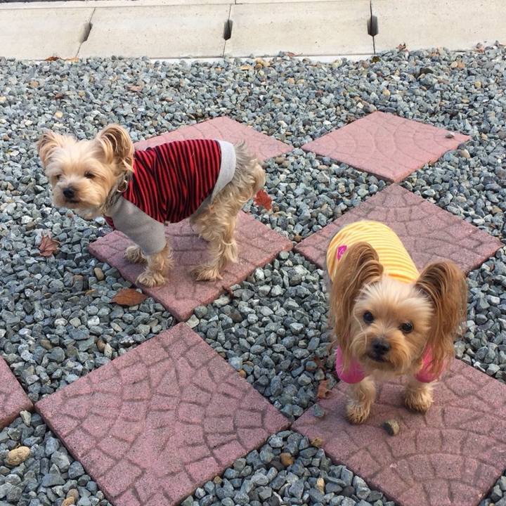 96851407 5d28 4bf9 a78d 7d2652b38269 1541667772046