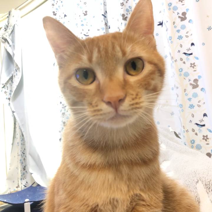 96851d35 55c5 44a8 a400 745a112e4908 1584077992657