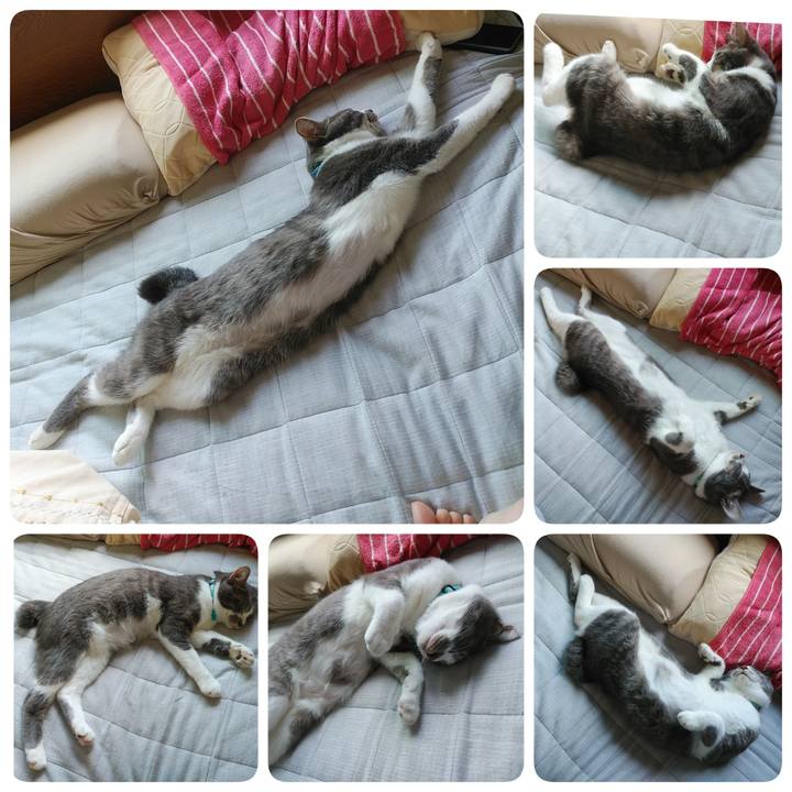 96852edf c71c 4606 b9c7 02087deb5942 1590283183779