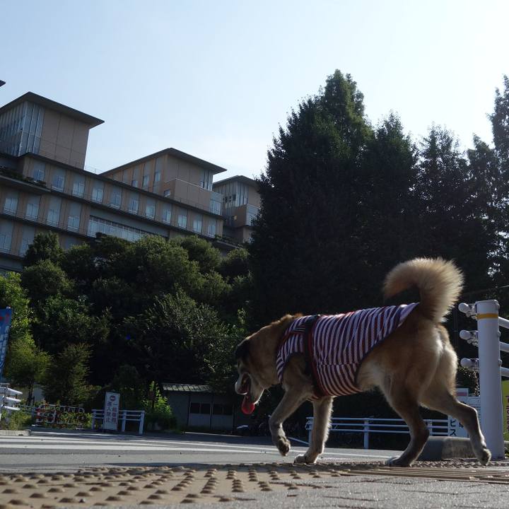 96853f62 a748 4a1b b0d2 6771ca021cf7 1532134335992