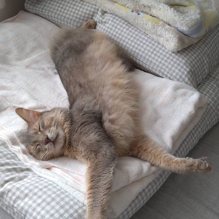 96854aca 82f2 47fa aaa8 533250a00593 1623044224548