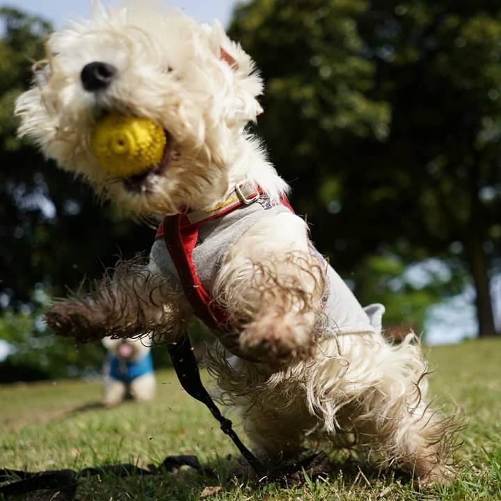 968579fd 3dab 4209 8758 ef3ba7a4568f 1524999632273