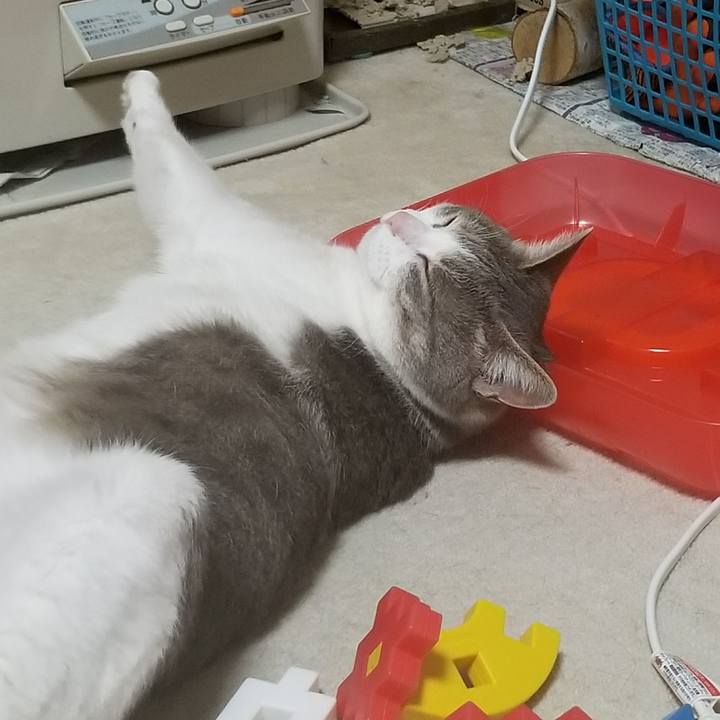 96858705 8eea 4504 94ac 8f479e1d4879 1522843290075