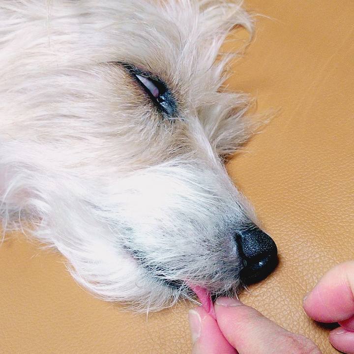 968597c0 29b9 42eb 829f ca49335d227a 1584882075786