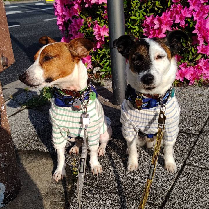 96859d9e adaa 4863 aece 474ea283c77f 1650837292267